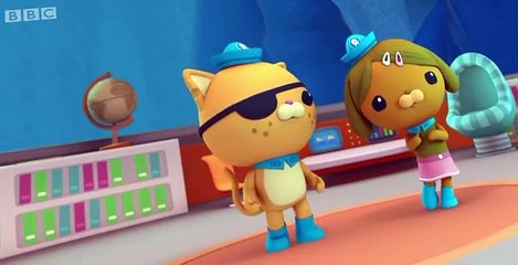 The Octonauts The Octonauts S01 E017 – The Narwhal