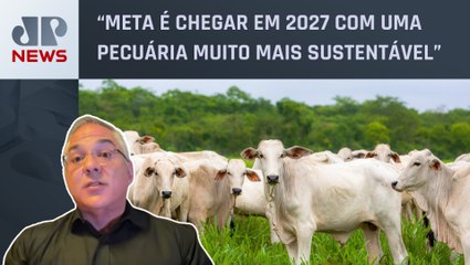MS aumenta produção de carne com menos abates de animais; especialista analisa