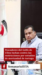 Pescadores contra restricciones en Golfo de Ulloa.