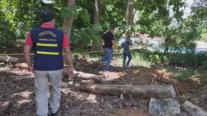 Estudiante herido de bala en universidad de Santiago ya se encuentra estable