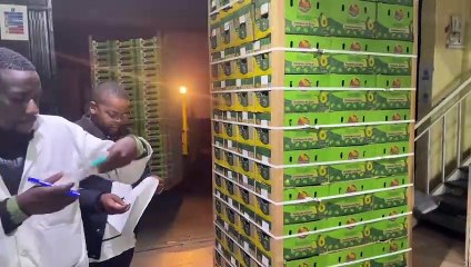 John Nwankwo Noko Avocado Shipping