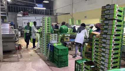 John Nwankwo Noko Avocado packaging