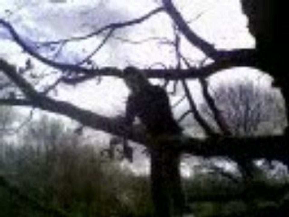 L'homme singe part 3