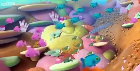 The Octonauts The Octonauts S01 E041 – The Dolphin Reef Rescue
