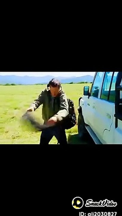 lion catcher شیر کو کیسے پکڑتے ہیں اس ویڈیو میں دیکھیں