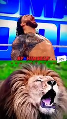 Roman reigns short videos