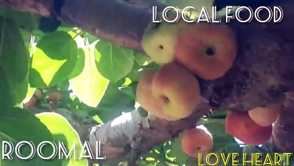 Our local food roomal look Amazing at Mansehra ####