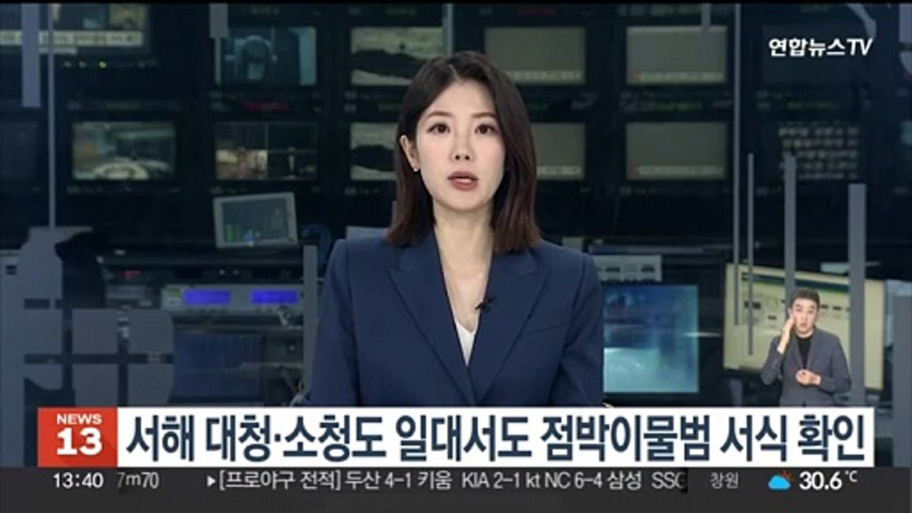 서해 대청·소청도서도 '멸종 위기' 점박이물범 서식 확인
