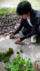 Put the green of summer into a picture. #art #travel  #summer