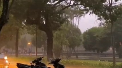 Mưa chiều miền Trung - Tác giả Hồng Xương Long