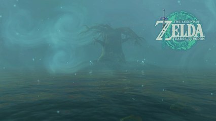 Lac Sariya Zelda Tears of the Kingdom : Où se trouve-t-il et comment y accéder ?