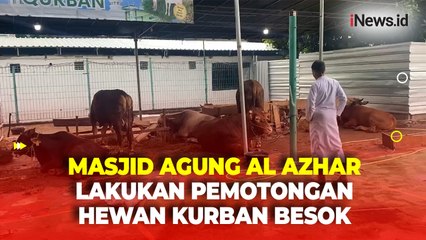 Masjid Agung Al-Azhar Jakarta Lakukan Pemotongan Hewan Kurban Besok Senin