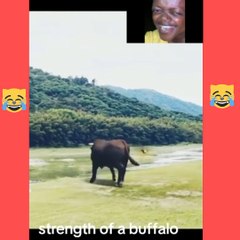 #AwkwardMoments#UnintentionalComedy#EpicFail#OopsIDidItAgain#CantMakeThisUp#LaughingAtMyself#WhenYouKnowYouKnow#LifeIsWeird#RandomLOL#WhoopsieDaisy#NailedIt#AccidentalGenius#DailyDisaster#NoFilterNeeded#OopsMyBad