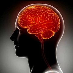 Women brand and body health benefits tutorial