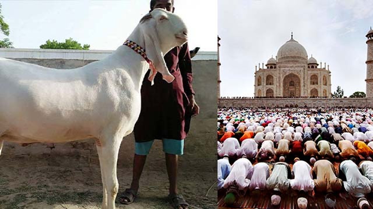 Eid Ul Adha 2024: बकरीद के दिन क्या करना चाहिए | Bakrid Ke Din Kya Karna Chahiye Kya Nahi