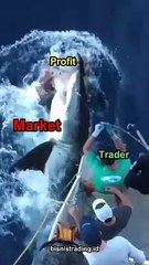MARKETS IN GENERAL