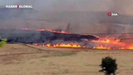 YIldırım ekili alana düştü, çıkan yangın buğdayı kül etti