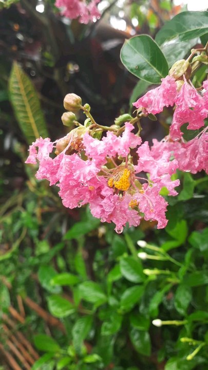Rainy Day