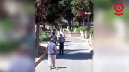 Kızgın boğa mezarlığa girdi, ortalığı birbirine kattı: 2 yaralı