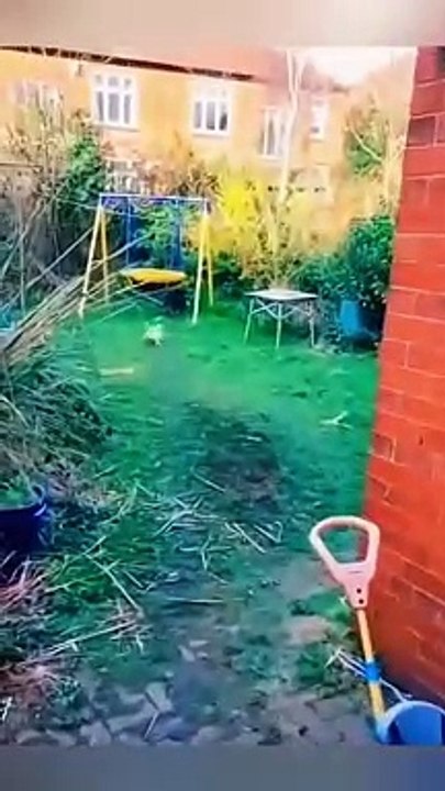 Funny video  #follow #foryou