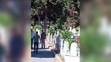 Beyoğlu'nda kızgın boğa mezarlığa daldı: İki kişiyi yaraladı, kabir ziyaretine gelenler çıkartıldı