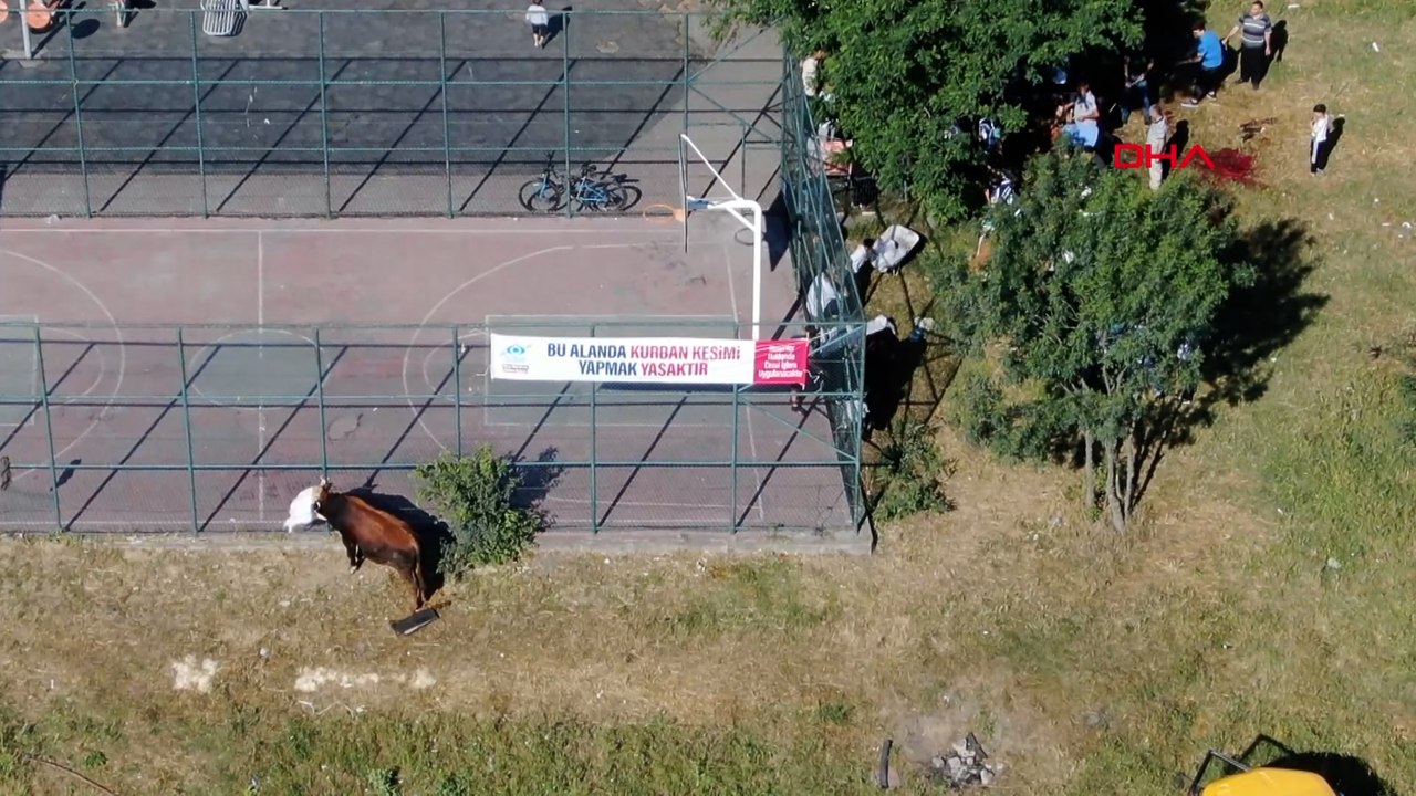 'Yasak' tabelalarının altında kaçak kurban kestiler