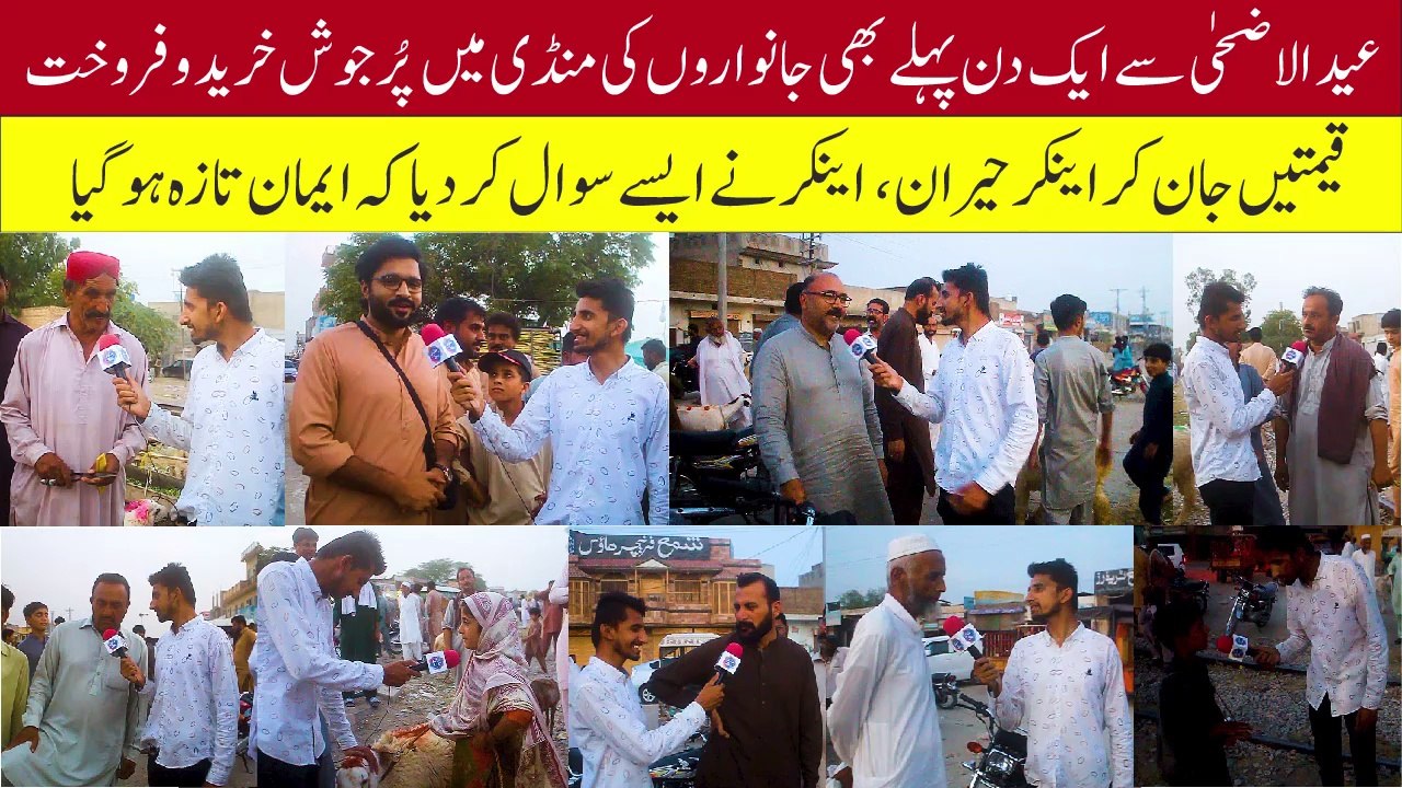 Eid ul Adha | Eid Spacial | Bakra Mandi Mianwali | M Daniyal Bin Saeed | Mianwali Rang Digital