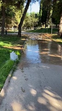 Andria, la villa comunale allagata: uno spreco pubblico a causa degli imbecilli. E' caccia ai responsabili del danneggiamento all'impianto di irrigazione