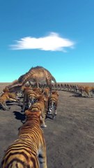 Top  Tigers vs Carcharodontosaurus Fighting 3D