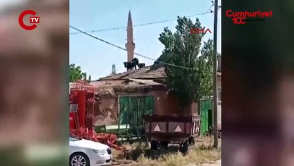 Kaçan boğa, binanın çatısına çıktı, sahipleri güçlükle yakaladı; o anlar kamerada