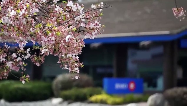 Crime Beat S05E25 Double Deception