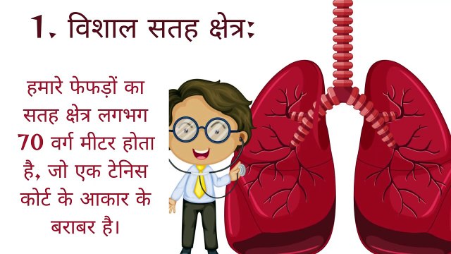 लंग्स के बारे में 10 अद्भुत तथ्य- Lungs ke 10 amazing facts in Hindi. Human lungs education.