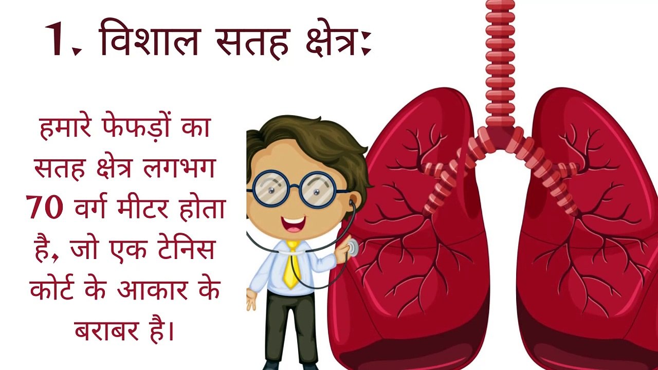 लंग्स  के बारे में 10 अद्भुत तथ्य-  Lungs  ke 10 amazing facts in Hindi. Human lungs education.