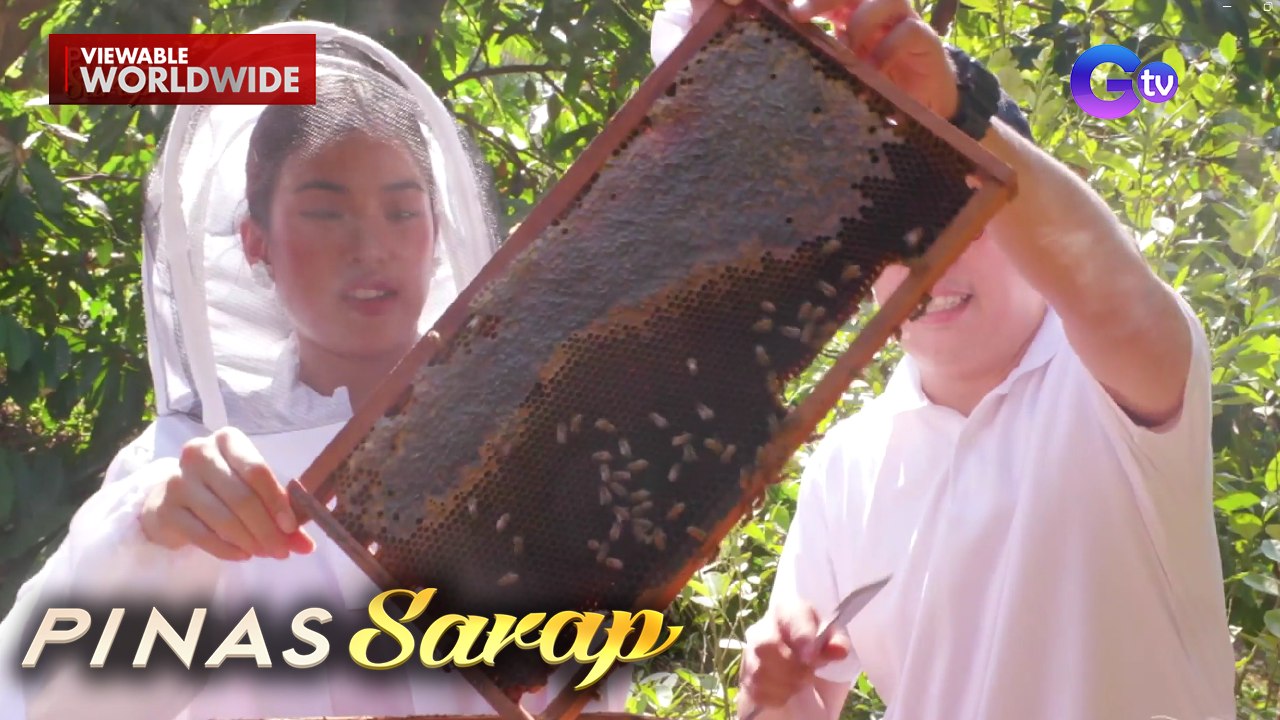 Shuvee Entrata, sinubukan ang pag-harvest ng fresh honey?! | Pinas Sarap