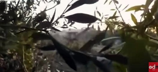 Hamas Combat Footage Shows How They Fight Israeli Troops