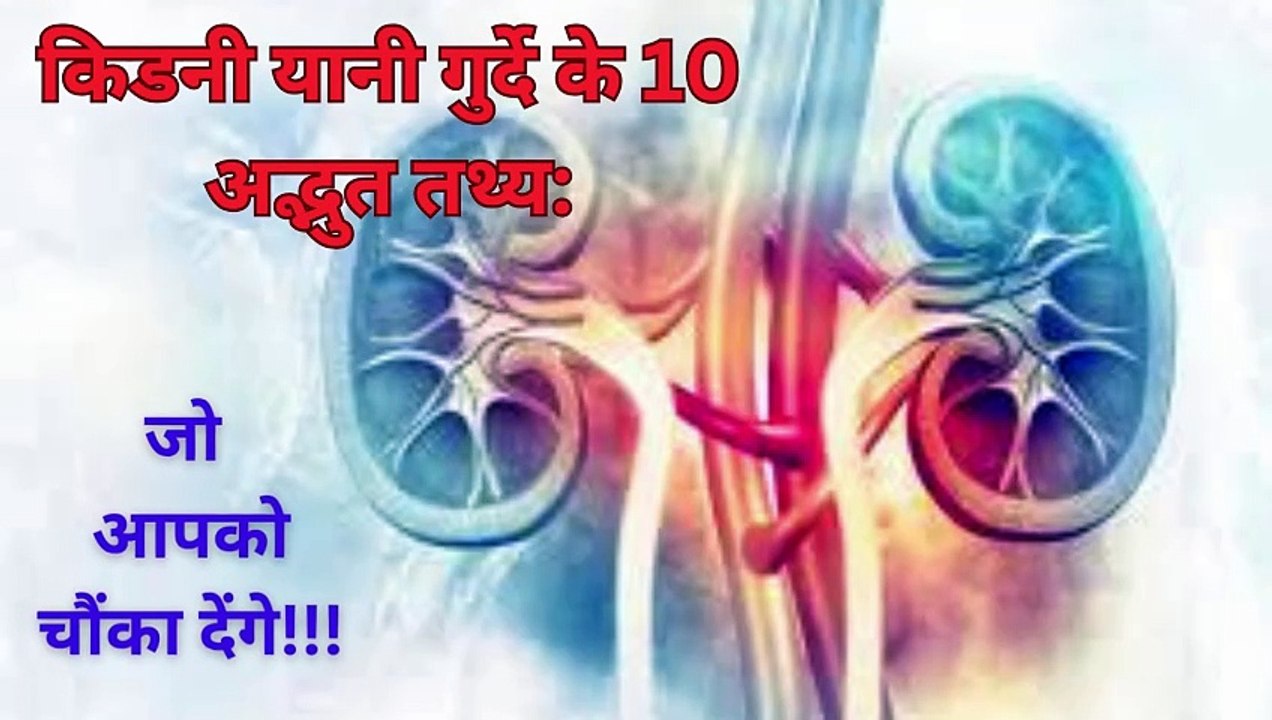 किडनी यानी गुर्दे के बारे में 10 अद्भुत तथ्य: Kidney 10 amazing facts