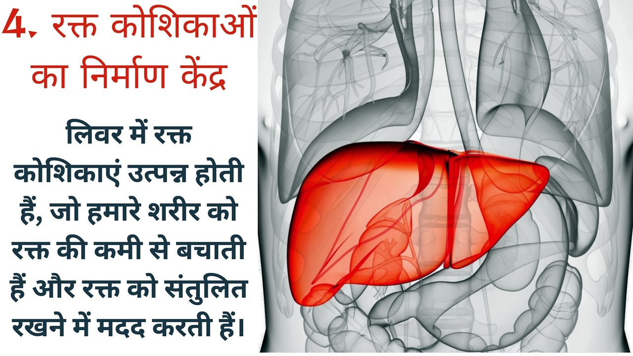 लिवर के 10 अद्भुत तथ्य - Liver ke 10 amazing facts in Hindi