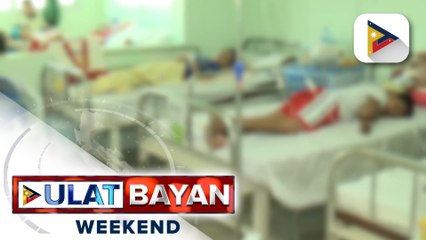 DOH: Wala pang patunay na nakakagaling ang siling labuyo, tawa-tawa, at bayabas kontra dengue