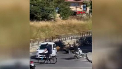 Maltepe’de kaçan boğa sahibini yerde sürükledi