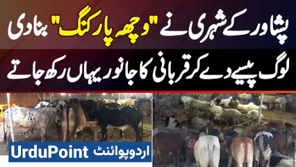 Peshawar Ke Shehri Ke Vacha Parking Bana Di - Log Paise De Kar Qurbani Ka Janwar Yaha Rakh Jate