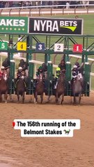 beautiful horses race