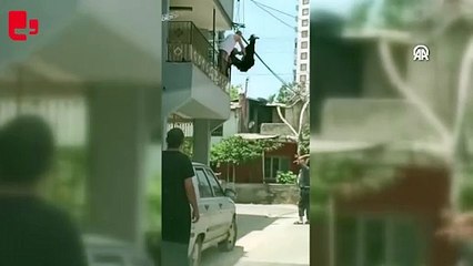 Damdan atlayan kurbanlık keçi telefon tellerine takıldı