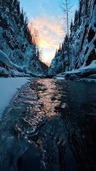  Forest therapy anyone?  Find your calm in the woods!  #NatureHealing #ForestWalk #GreenEscape