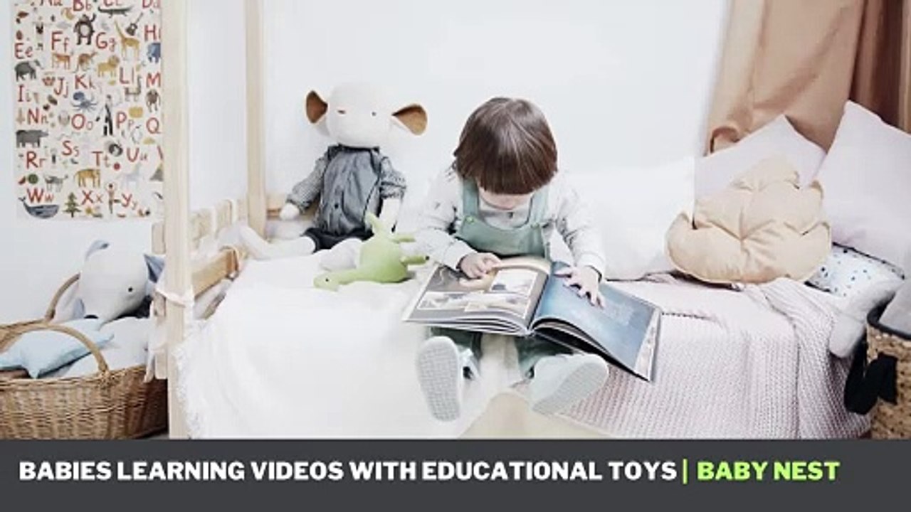 Baby Girl Learning with Books and Toys - Stories Book - Animal Toys. Family Fun with kids