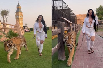 दुबई की पार्क में बाघ घुमाती नजर आई ये मुस्लिम सोशल मीडिया इन्फ्लुएंसर, देखें खौफनाक वायरल वीडियो
