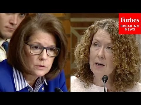 ‘Can I Get Your Commitment?’: Catherine Cortez Masto Asks BLM Director About Protecting Ash Meadows