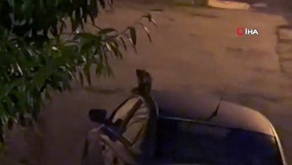 Samsun'da sansar sokakta yemek ararken böyle görüntülendi