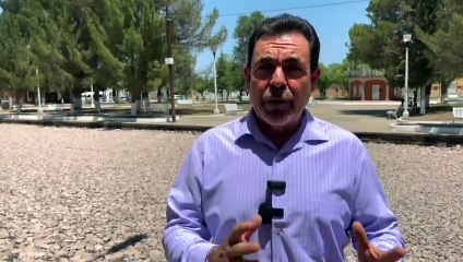 Desastre ecológico en México: la sequía no da tregua y mata a cientos de miles de peces