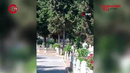 Beyoğlu'nda kızgın boğa mezarlığa daldı... İki kişi yaralandı!