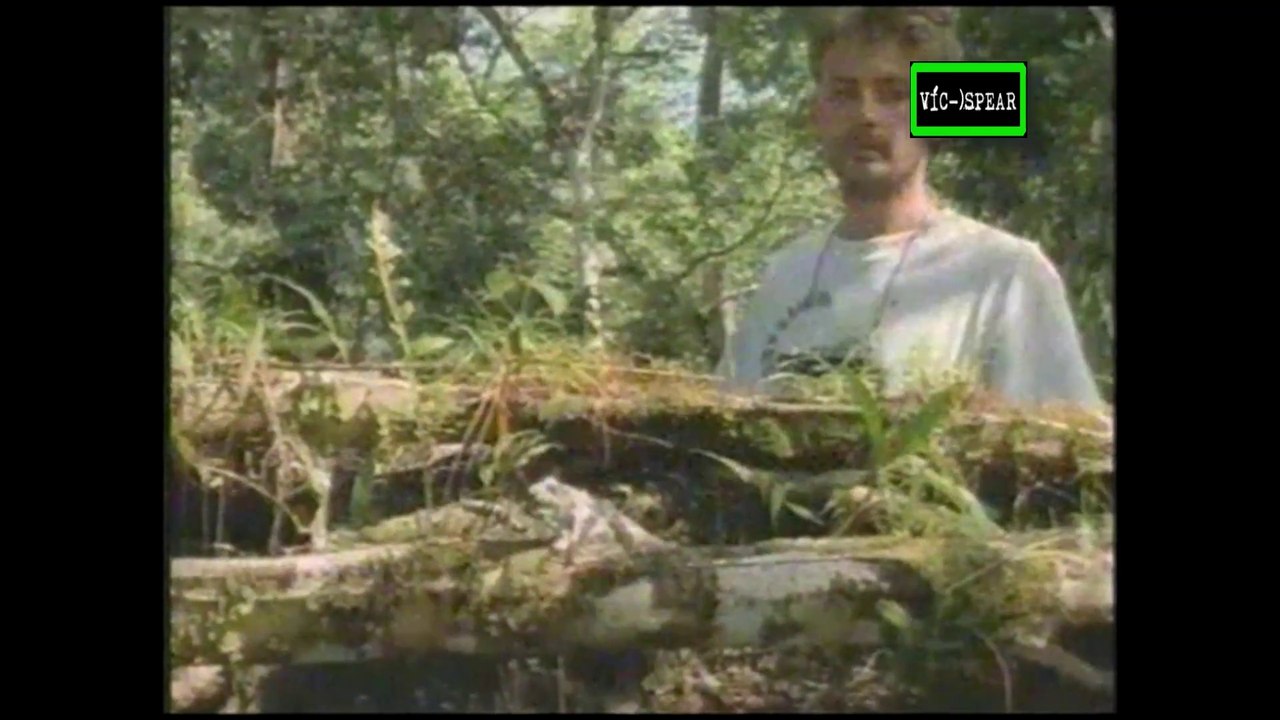 Al Cuidado de la Naturaleza: Maxime y los Camaleones - Documental (1995) - Español Latino